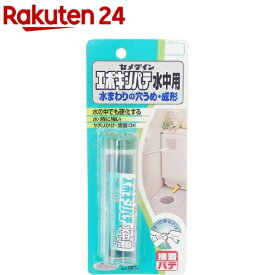 セメダイン エポキシパテ 水中用 HC-119(60g)【セメダイン】