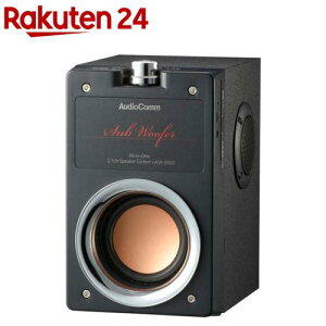 AudioComm ��̌^2.1ch�X�s�[�J�[�V�X�e��(1��)�yOHM�z