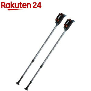 n^` EH[LO|[ DFP vObVuY[ WH1120 K^bN(05)(2{)yHATACHI(n^`)z