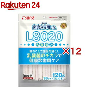 S̎pK SSTCY L8020_ۓ p(120g×12Zbg)yTCYz