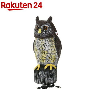 Y ZteB[3 pjbNӂ낤2 ɗpS 悯 STYF-4(1)yZteB[3z