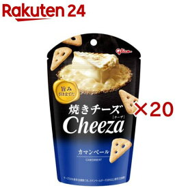 チーザ カマンベール(32g×20セット)