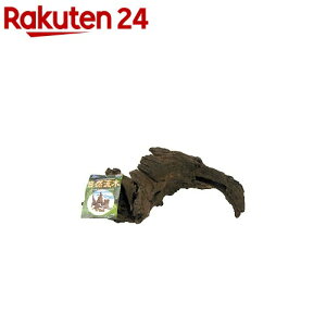 R (1R)