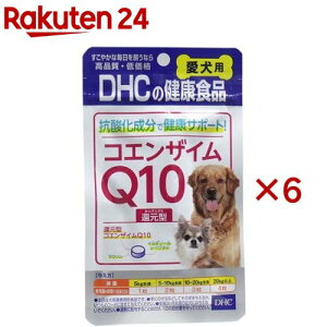 DHC p RGUCQ10Ҍ^(60×6Zbg)yDHC ybgz