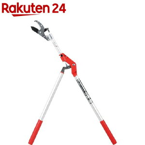 g Ar^ } 1.0m SGLP-6(1{)ygz