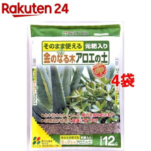 アロエ 花の人気商品 通販 価格比較 価格 Com