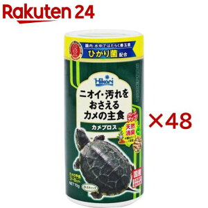 Ђ JvX(70g×48Zbg)yЂz