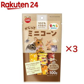 かじってミニコーン ショートタイプ(100g×3セット)【ミニマルランド】