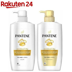 【企画品】パンテーン エクストラダメージリペア シャンプー＆コンディショナー ポンプセット(1セット)【PANTENE(パンテーン)】
