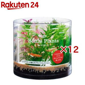 i {gvc ~ItB(12Zbg)yiz