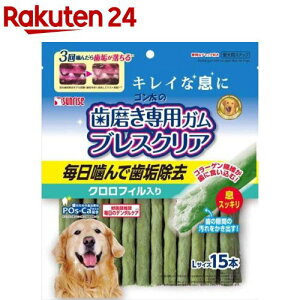 TCY S̎pK uXNA NtB LTCY(15{)ySz