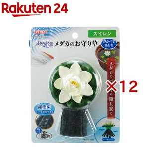 _Ji _Ĵ葐 XC(12Zbg)y_JCz