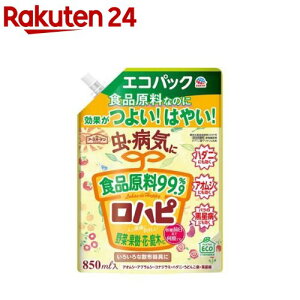 A[XK[f EEۍ ns GRpbN(850ml)yA[XK[fz