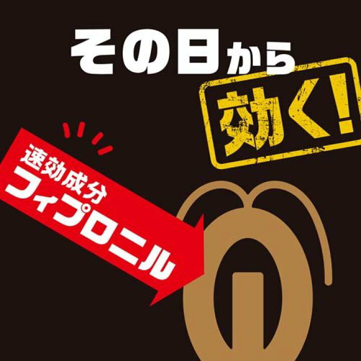 購買 ゴキブリ駆除 速効性 退治 ブラックキャップ 2g×12個入 医薬部外品 ゴキブリ団子 即効タイプ アース あすつく対応 購買 ゴキブリ駆除 速効性 退治 ブラックキャップ 2g×12個入 医薬部外品 ゴキブリ団子 即効タイプ アース あすつく対応