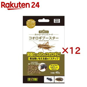 RepDeli RIMu[X^[(45g×12Zbg)yGL]ez