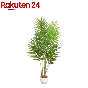 G} CeAO[ AJV(04570)(1)