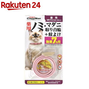 LeB[} pm~E}_j+悯 Lp(1)yLeB[}z