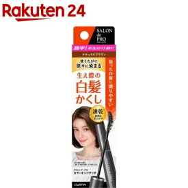 サロンドプロ カラーオンリタッチ 白髪かくしEX ナチュラルブラウン(15ml)【サロンドプロ】[白髪かくし マスカラタイプ 徐々に染まる 簡単 速乾]