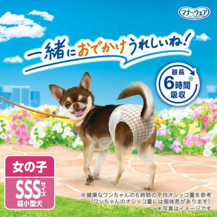 国際ブランド マナーウェア 女の子用 Sss チェック 42枚入 犬用 ペット ペット用オムツ おむつ オムツ Riosmauricio Com