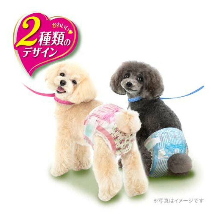 国内正規総代理店アイテム 8 25ポイント5倍 マナーウェア 女の子用 Ssサイズ 38枚入り マナーパンツ オムツ 犬オムツ 犬トイレ 紙オムツ 小型 犬 トラベル 散歩 生理 ペットグッズ チワワ パピヨン ポメラニアン トイプードル ユニ チャーム Fucoa Cl