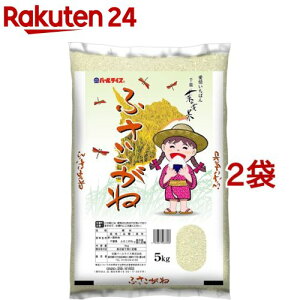 ߘa7NY tYӂ(5kg*2܃Zbg)yp[CXz