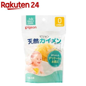 天然カイメン(1個)