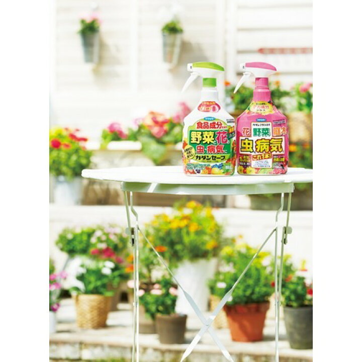 売れ筋商品 フマキラー 虫と病気に 野菜と花の カダンセーフ 原液 100ml 園芸用殺虫剤 フマキラー カダン 園芸用殺虫剤 花と野菜のカダンセーフ 原液 100ml