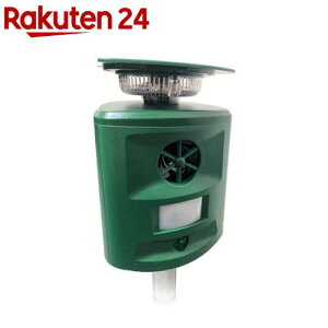 SaiEL \[[[d 360xQbފ g(1)