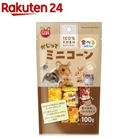 かじってミニコーン ショートタイプ(100g)【ミニマルランド】