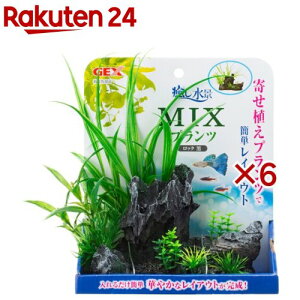 癒し水景 MIXプランツ ロック 黒(6セット)【癒し水景】