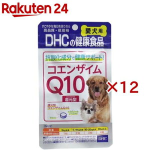 DHC p RGUCQ10Ҍ^(60×12Zbg)yDHC ybgz