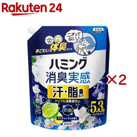 ハミング消臭実感 汗・脂臭タイプ クリアシトラスの香り つめかえ用(1910g×2セット)【ハミング】