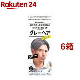 メンズビゲン グレーヘア ナチュラルグレー(6箱セット)【メンズビゲン】