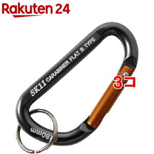 SK11 A~Jri B yʃX^_[h^Cv SAC-880B ubN(1R*3RZbg)ySK11z