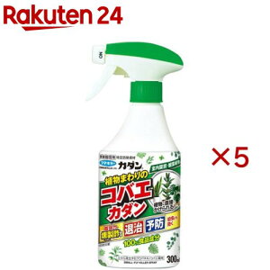 A܂̃RoGJ_(300ml×5Zbg)