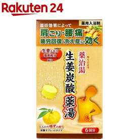 薬用入浴剤 薬治湯 生姜炭酸薬湯 炭酸タブレットタイプ じんわりゆずの香り(50g×6錠入)