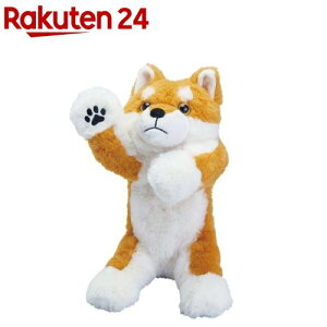 LOW(Kingjim) |[Y[ Pouzoo y|[` (PZ2026) VoCk(1)