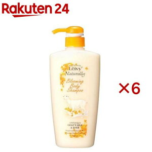 CB[ {fBVv[ ؍(500ml×6Zbg)yCB[z