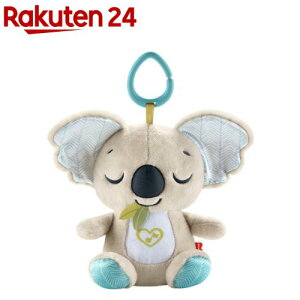 tBbV[vCX ǂłI₷݃RA JBD65(1)ytBbV[vCX(Fisher Price)z[Ԃ  0 y ʂ Q]