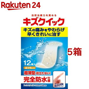 LYNCbN ӂTCY(12*5Zbg)