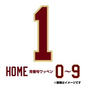 背番号数字ワッペン［ホーム］【0〜9】《楽天イーグルス》