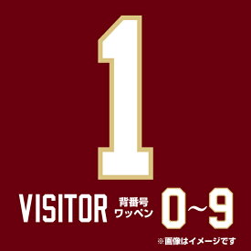 背番号数字ワッペン［ビジター］【0〜9】《楽天イーグルス》
