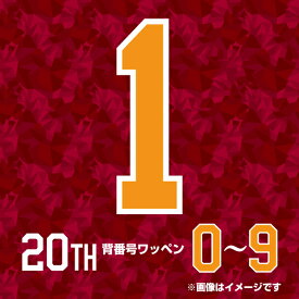 【イヌワシ・ザ・バーゲン】背番号数字ワッペン［20th］【0〜9】《楽天イーグルス》