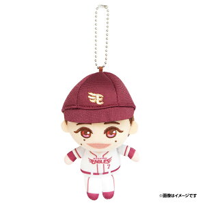 }XRbgʂ݁iS25j#7ؑnsyVC[OXt