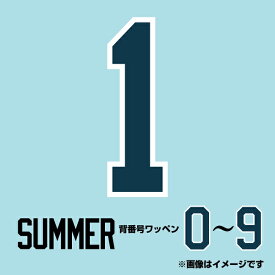 【イヌワシ・ザ・バーゲン】背番号数字ワッペン［EAGLES SUMMER 2024］【0〜9】《楽天イーグルス》