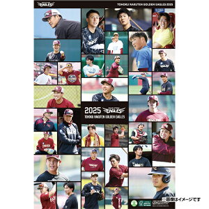 yCkVEUEo[Qz2025NC[OXǊ|J_[ItVbgsyVC[OXt