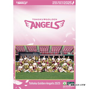 yCkVEUEo[Qz2025NGWFXǊ|J_[syVC[OXt