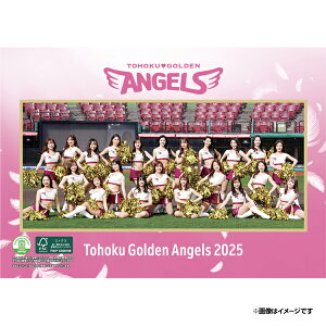 yCkVEUEo[Qz2025NGWFXJ_[syVC[OXt