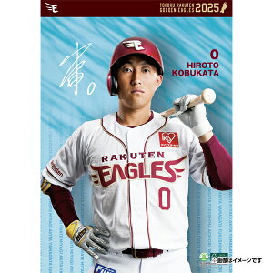 yCkVEUEo[Qz2025NIǊ|J_[#0[cāsyVC[OXt