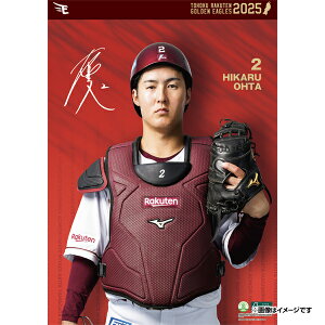 yCkVEUEo[Qz2025NIǊ|J_[#2csyVC[OXt